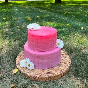 2 Tiered Cake
